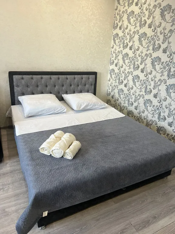 Квартира Уютные апартаменты в центре города — аренда посуточно в Чита