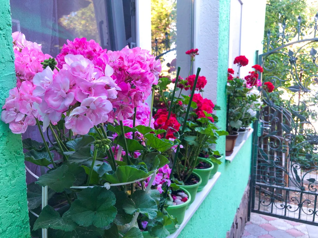 Зеленый дворик в центре города