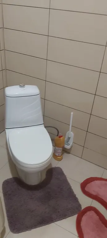 Коттедж Дом с отдельным двором и беседкой — Сириус