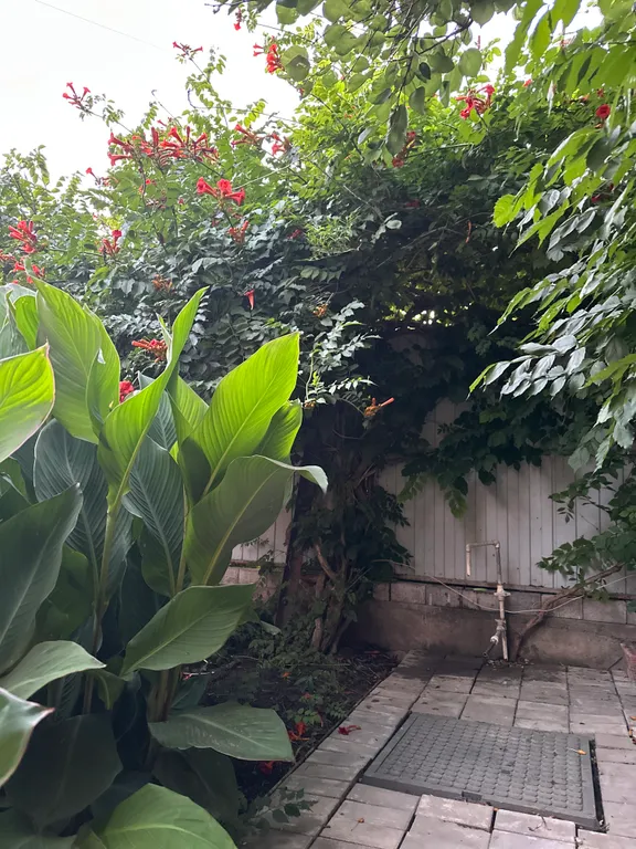 Комфортный дом у моря