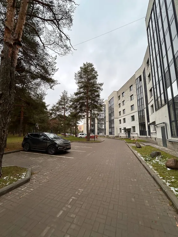 Уютная квартира в сосновом бору