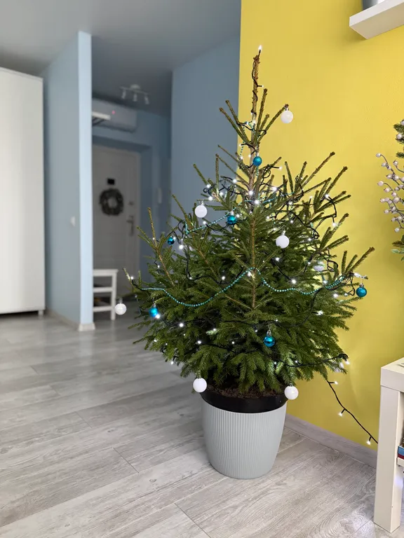 Апартаменты Сердце Бреста