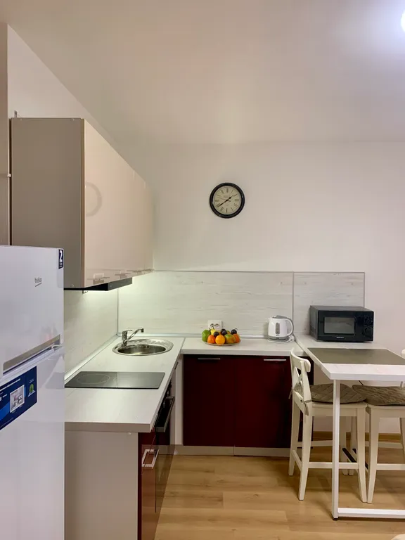 Квартира Квартира Уютная студия у НИИ имени Петрова с бесконтактным заселением — Песочный