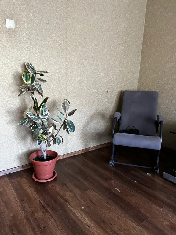 Квартира Уютная квартира около Золотого пляжа — Феодосия