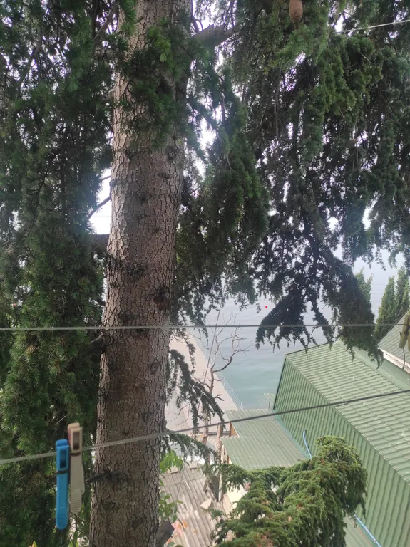 Квартира Квартира с видом на море — Ялта