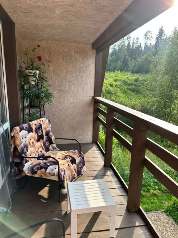 Дом с сауной на дровах, беседкой и мангальной зоной, фотозона