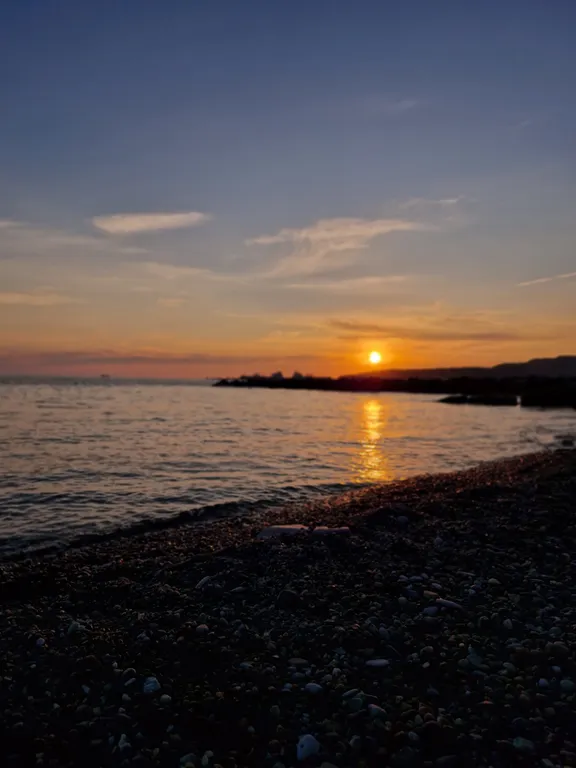 Комната в доме в лесу у моря