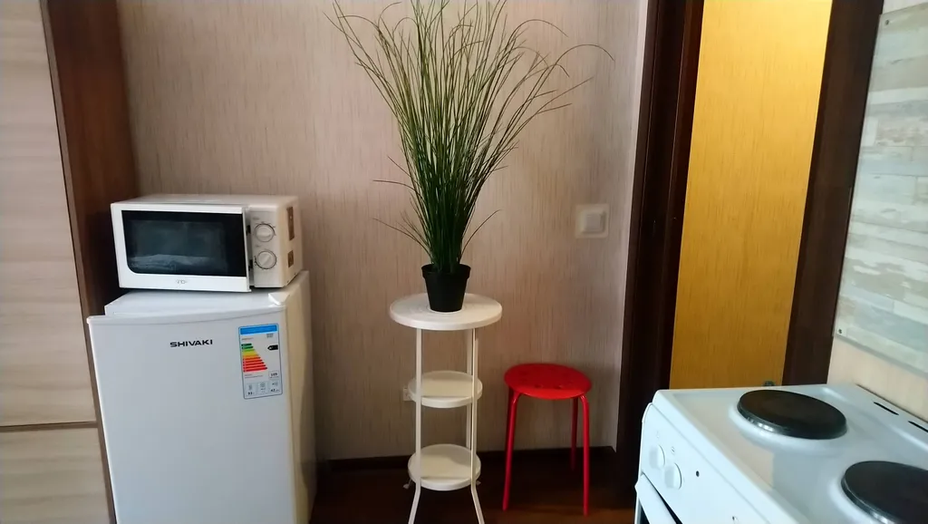 Уютная студия в Новом Петергофе