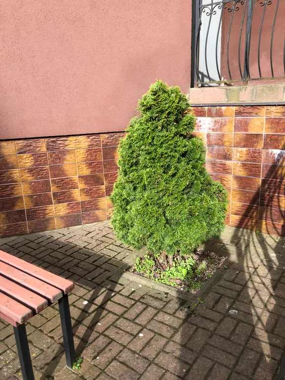 Квартира с видом на море и сосновый бор