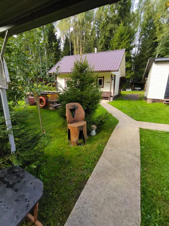 Коттедж Уютный дом в окружении векового леса — Рогачево