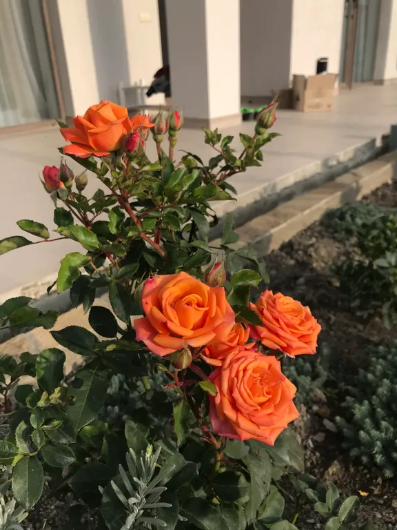 Коттедж Дом под черепицей — Солнечная Долина