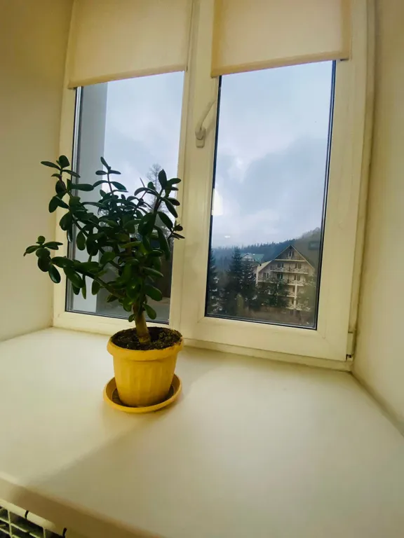 Квартира с прекрасным видом на горнолыжный склон горы Мусса-Ачитара