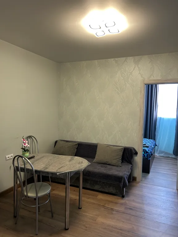 Уютная студия в центре Старой Купавны