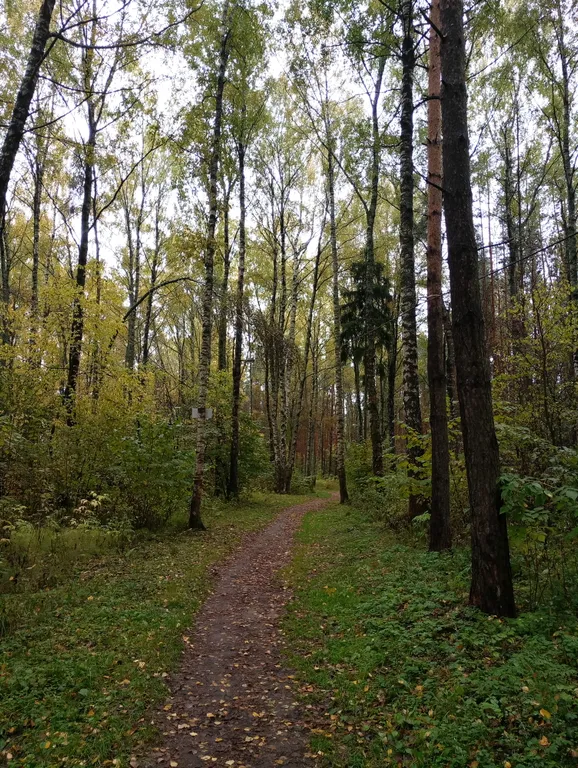 Квартира Творческая мастерская