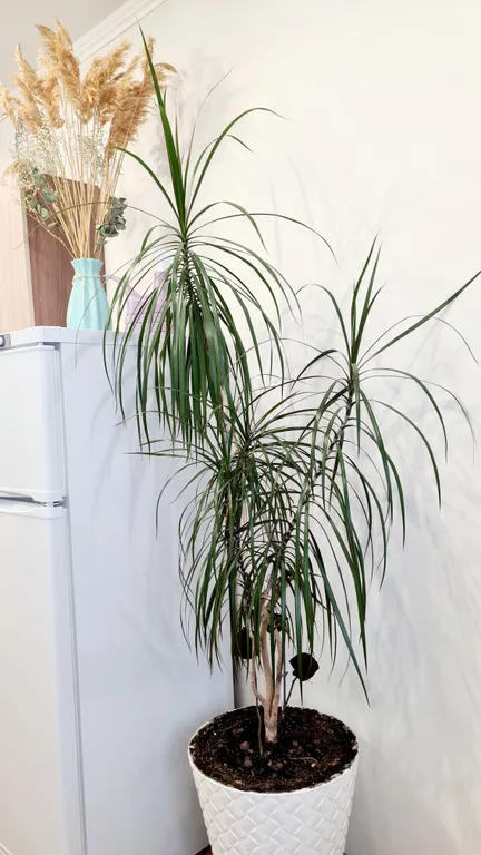 Уютная квартира в самом центре города