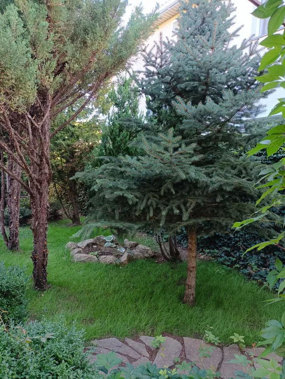 Уютный дачный домик в Нахимовском районе