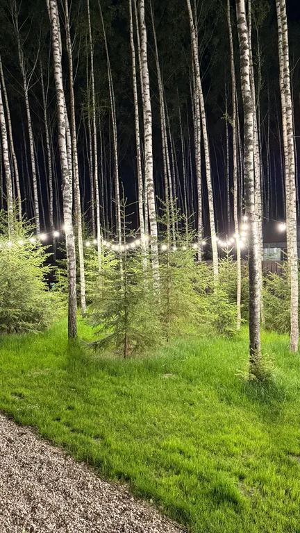 Коттедж Панорамный дом в окружении леса с сауной и чаном — Семеновское