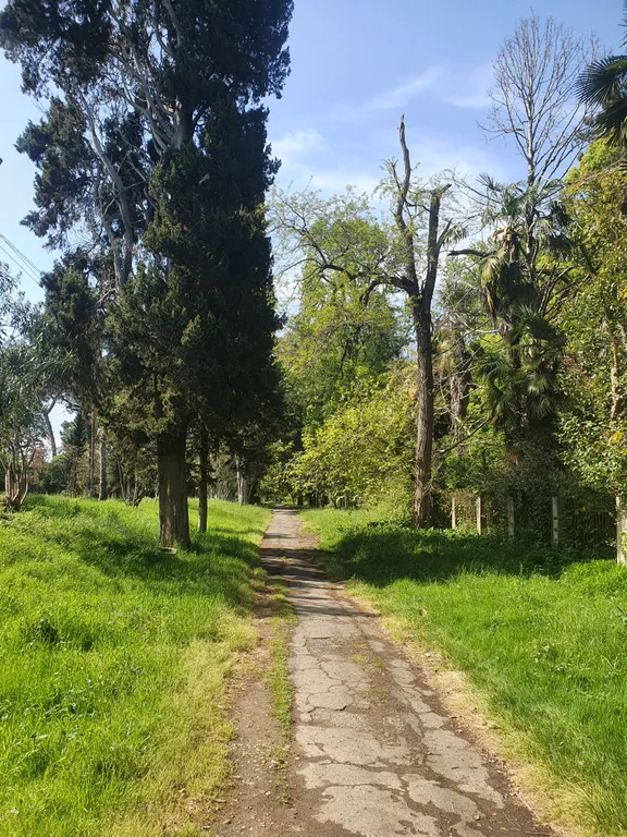 Квартира в Синопе у Мокко пляжа