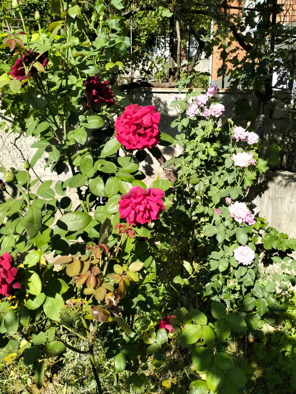 Коттедж Отдельный этаж в частном доме со своим двориком — Новороссийск