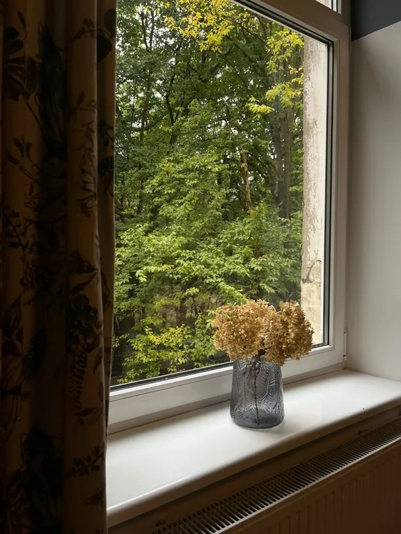 Квартира у центрального парка