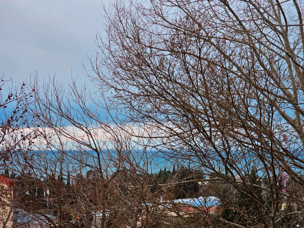 Квартира 1-комнатная Квартира — Сочи