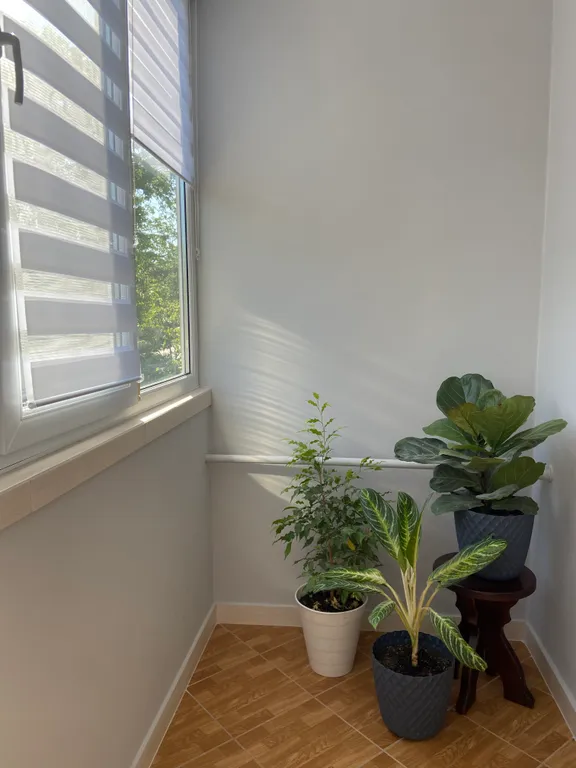 Уютная квартира с удобным местоположением и видом на гору