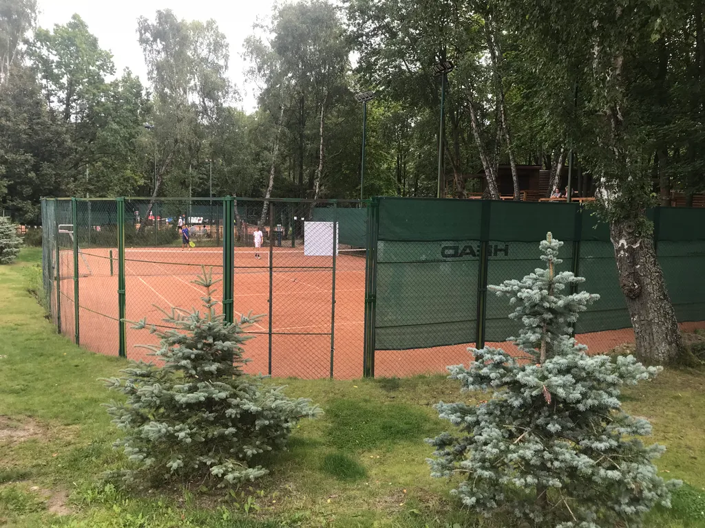 Квартира 1-комнатная Квартира — Светлогорск