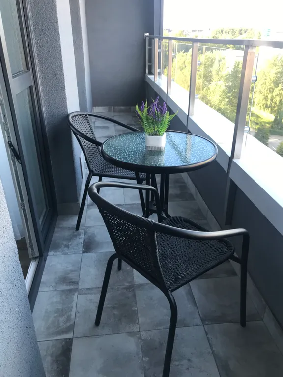 Квартира Уютные апартаменты — Светлогорск