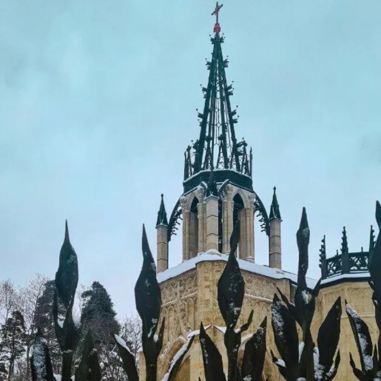 Студия Скандинавский лес с видом на Шуваловский парк