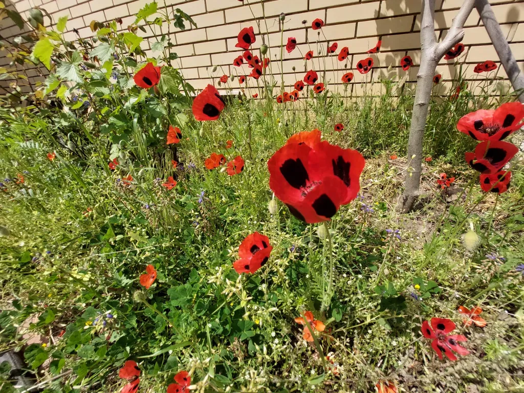 Коттедж Домик у моря — Махачкала