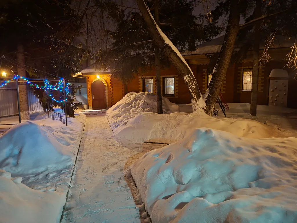 Частный дом в соснах внутри города Тюмень