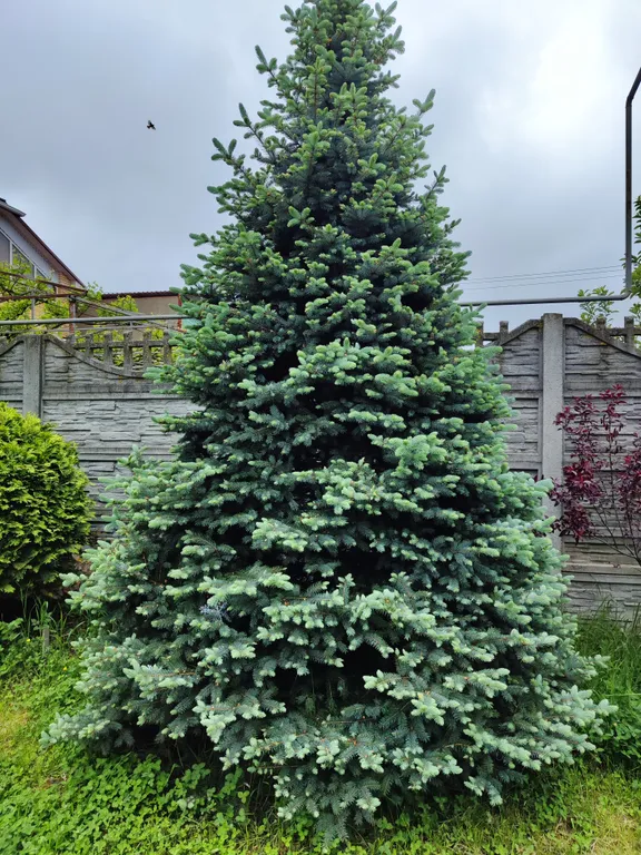 Дом "Тульский пряник", рядом с термальным источником "Псыгупс".