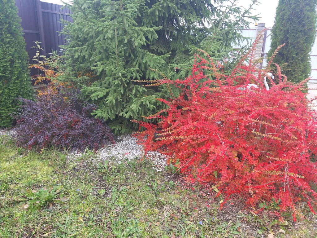 Коттедж Горные Морины