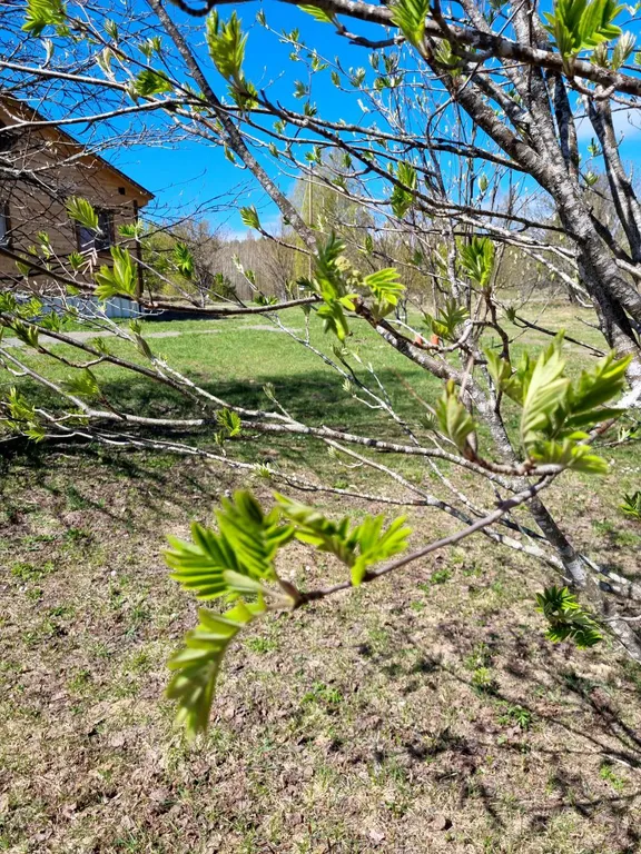 Уютный дом на берегу озера "Прозрачный берег №2"
