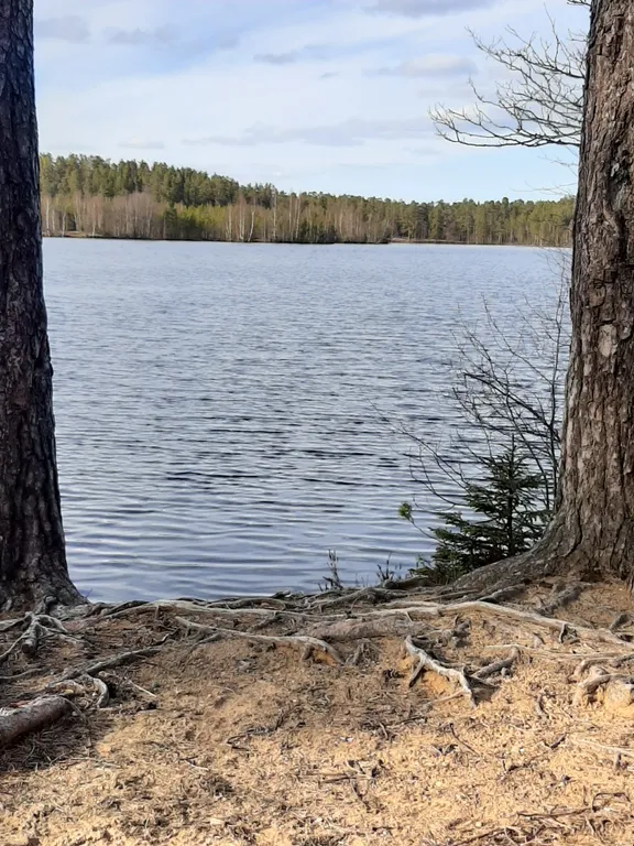 Дом для отдыха