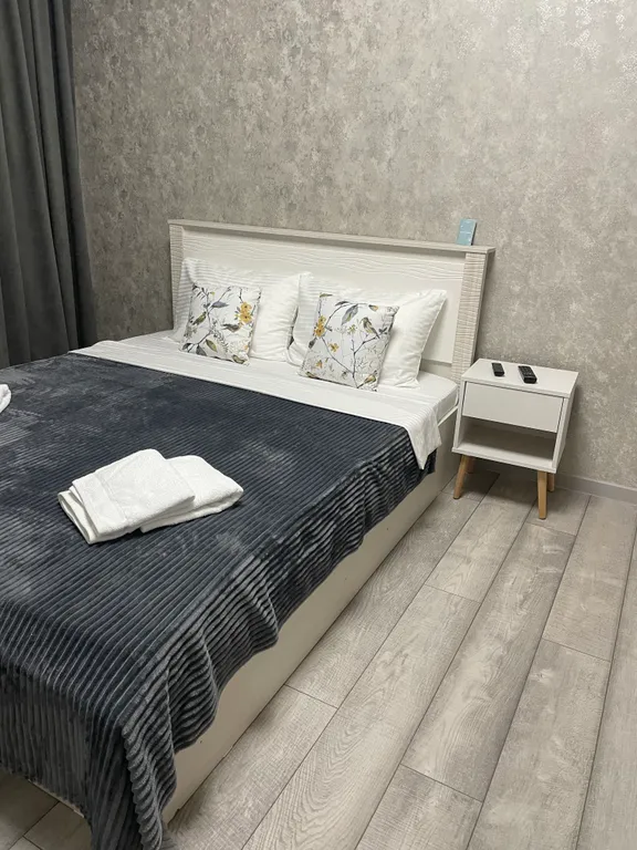 Стильная квартира с Алисой — аренда посуточно в Ессентуки