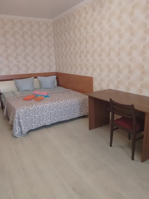 Квартира на сутки, автовокзал, мегагринн