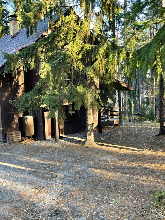 Карельская Дача Уютное шале с камином в сосновом бору, берег Сямозера