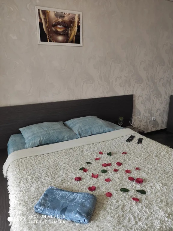 Уютная квартира в самом центре — аренда посуточно в Абакан