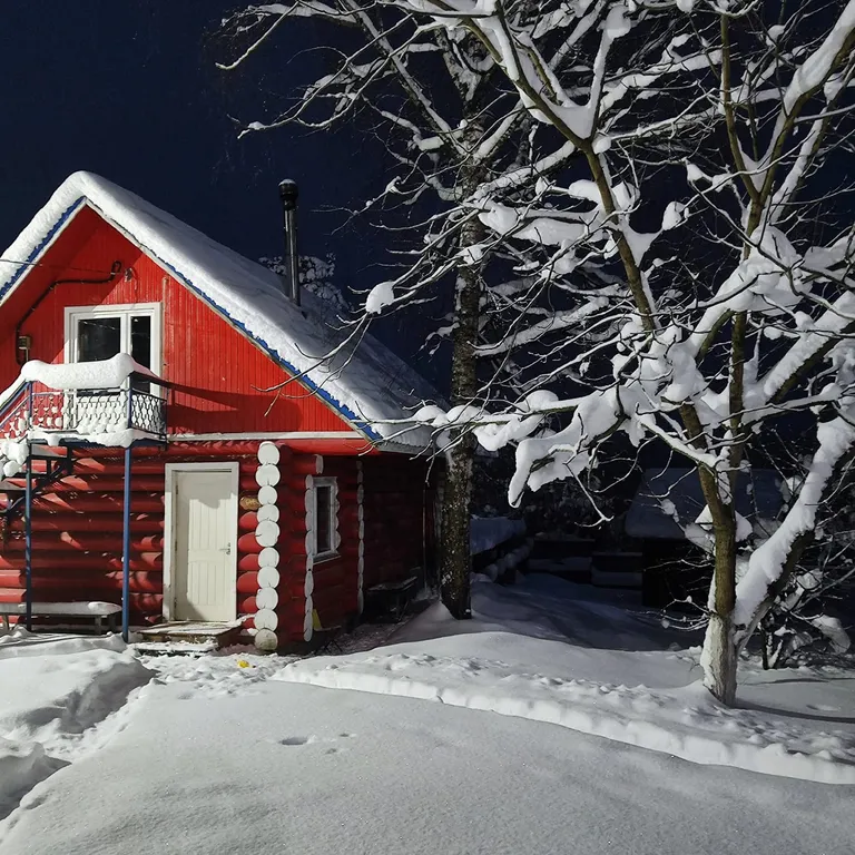Коттедж Уютный гостевой дом — Светогорск