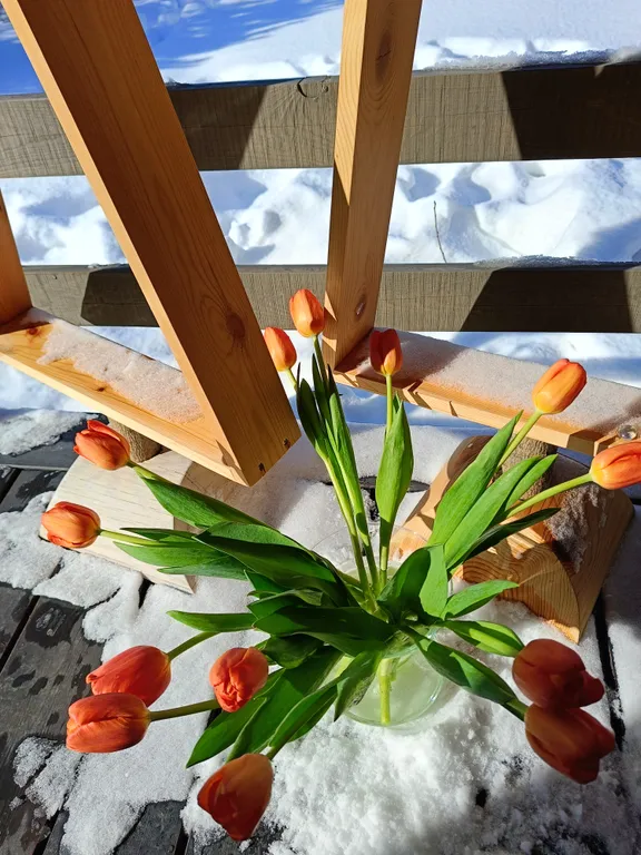 Темный домик на опушке леса