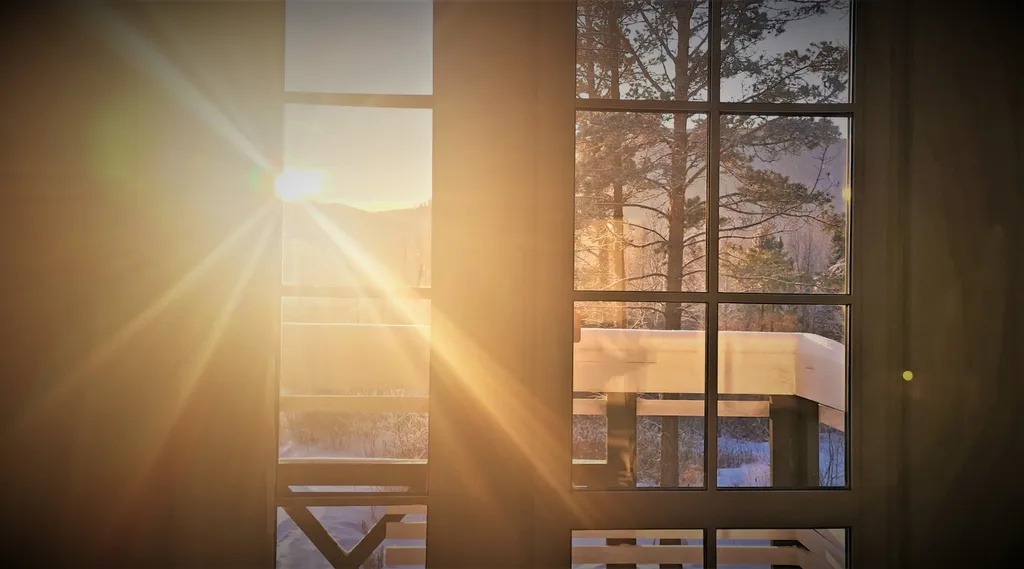 Дом с котом