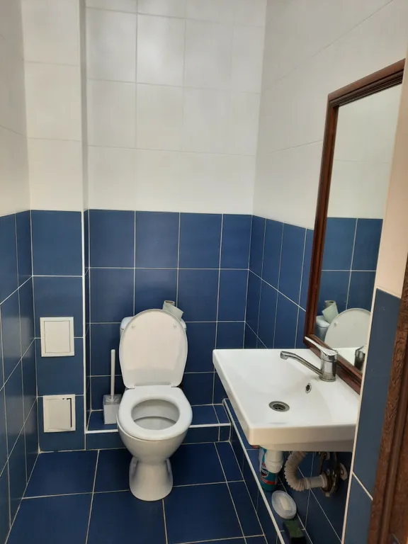 Квартира Двухуровневая квартира в сосновом бору — Светлогорск