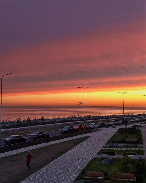 Квартира на берегу Финского залива