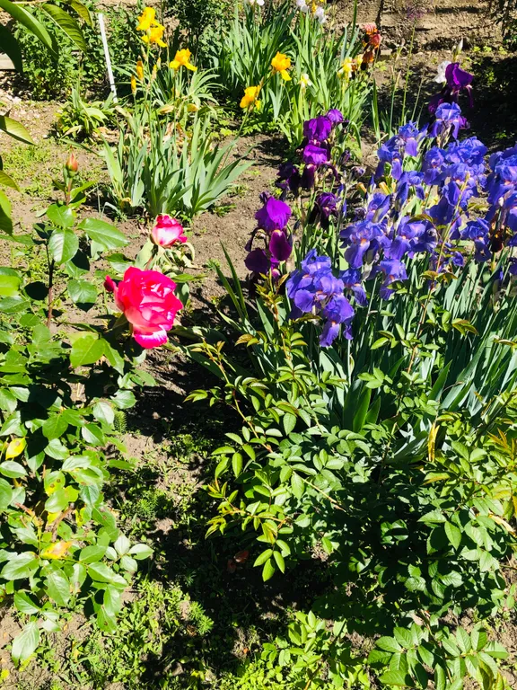 Коттедж Дом в классическом стиле — Кисловодск