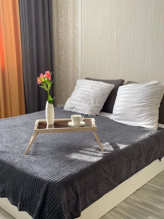 Уютная квартира в городе Спутник