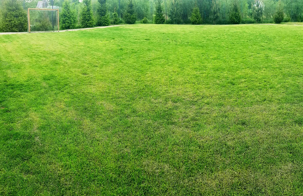 Дом с шикарной беседкой на озере