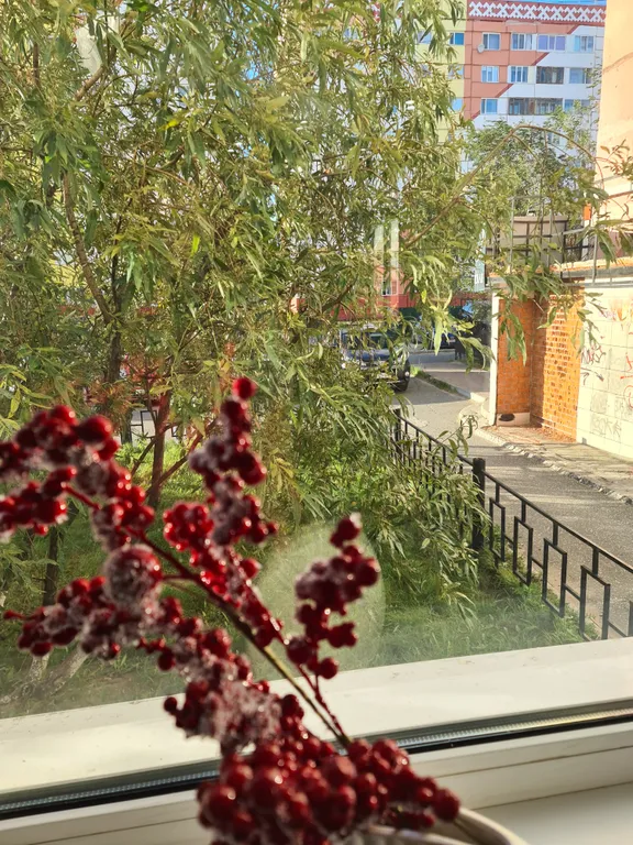 Квартира в центре. Кофемашина, оплаченные кинотеатры в ТВ, Wi-Fi