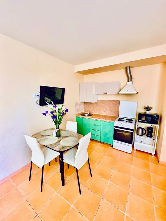 Просторная квартира в центре