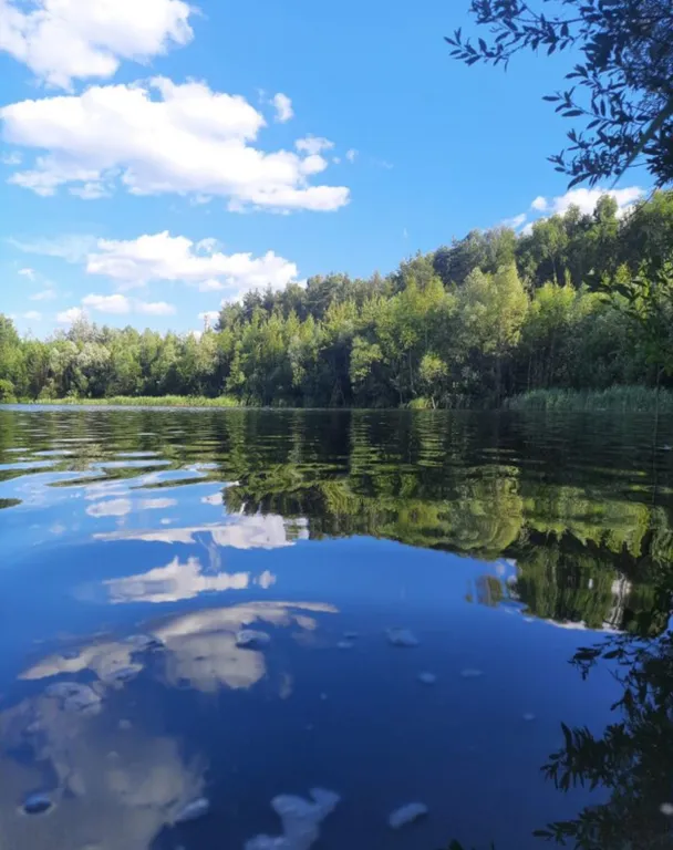 Уютный дом у леса и озера